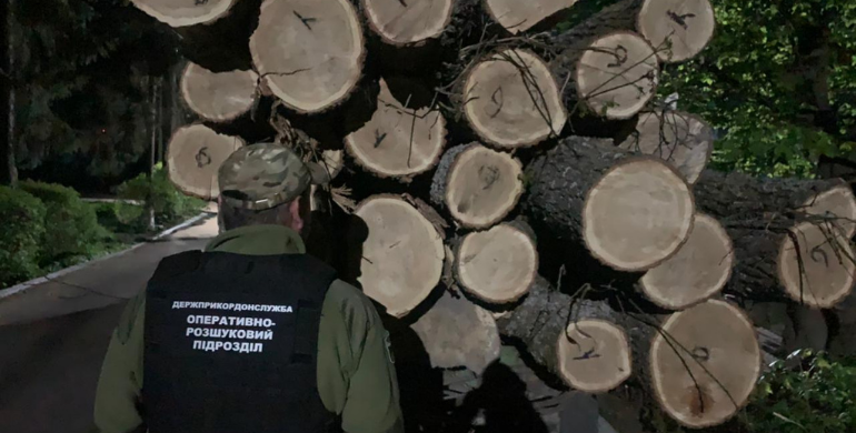 Жителі Рівненщини обкрадали житомирський ліс